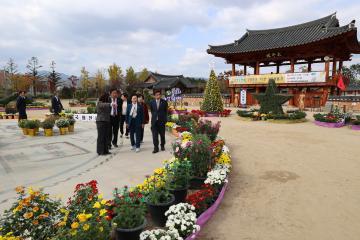 제22회 상주시 국화전시회