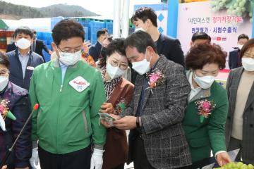 샤인머스켓 장기저장기술 현장 평가 시범 수출식