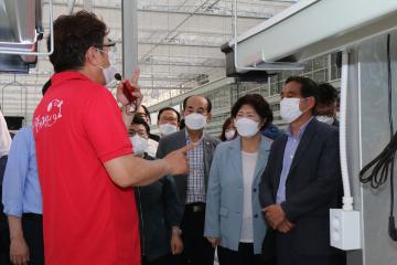 첨단딸기 스마트팜 유리온실 및 육묘장 준공식