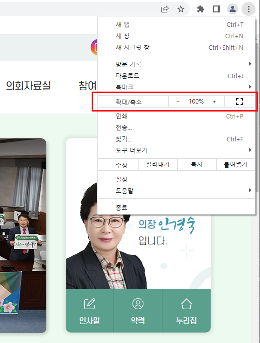 크롬의 브라우저 설정 중 맞춤설정 및 제어 옵션의 글꼴크기에서 +,-로 비율 조정